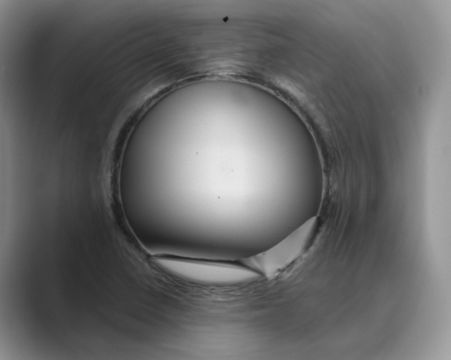 X0000088861410200707061042