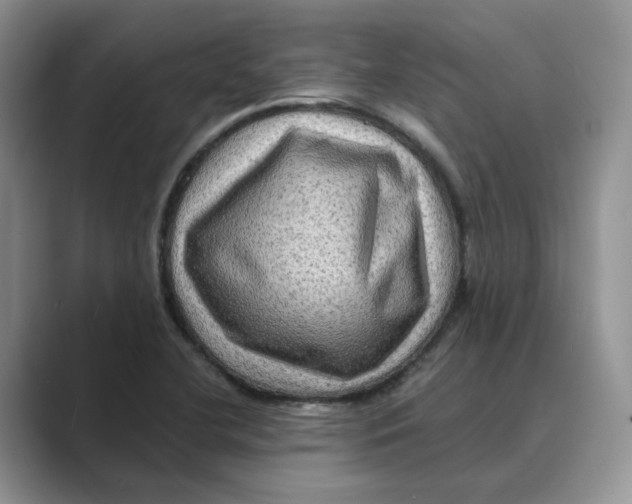 X0000088861412200707061042