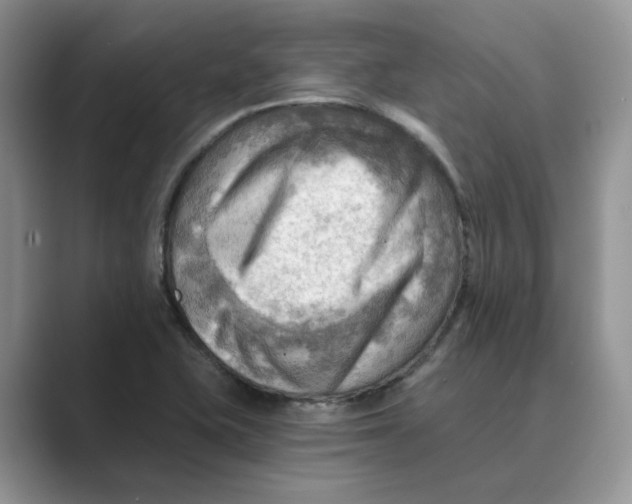 X0000088861415200707061043