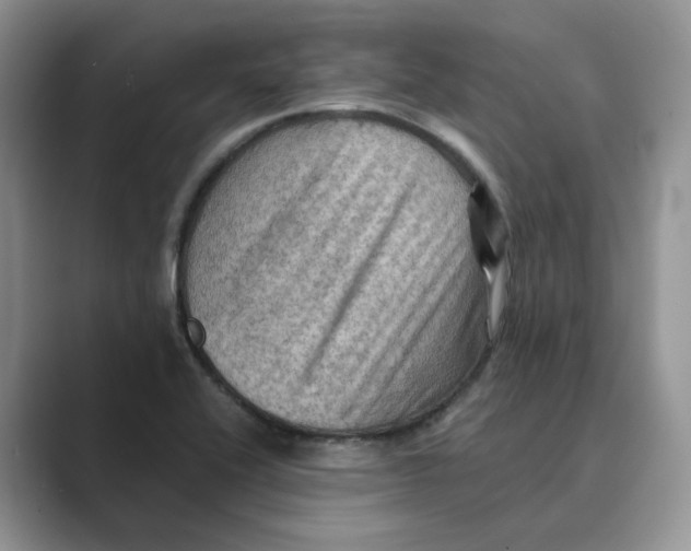 X0000088861416200707061043