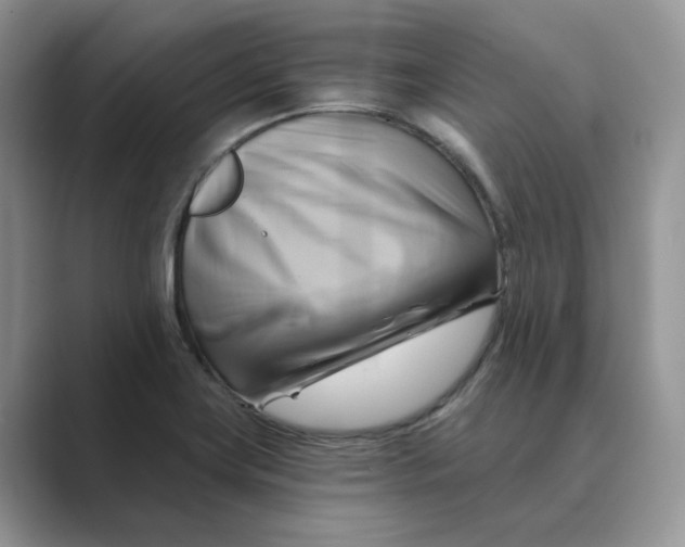 X0000088861419200707061043