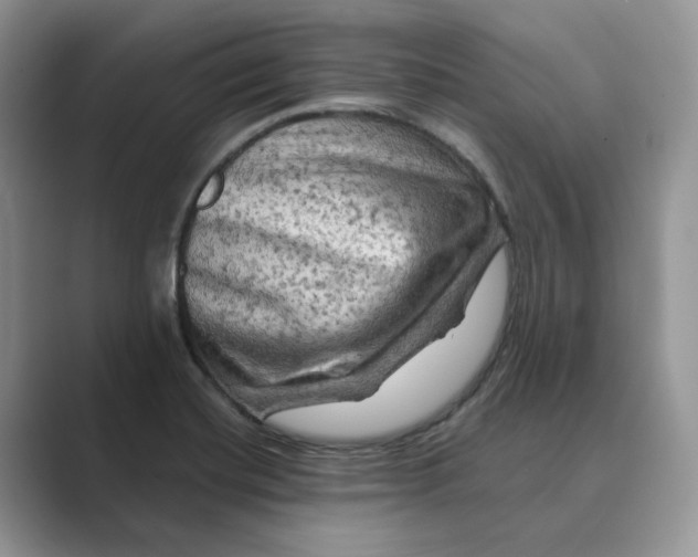 X0000088861420200707061043