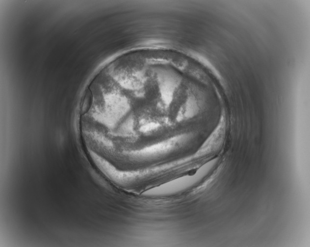 X0000088861421200707061043