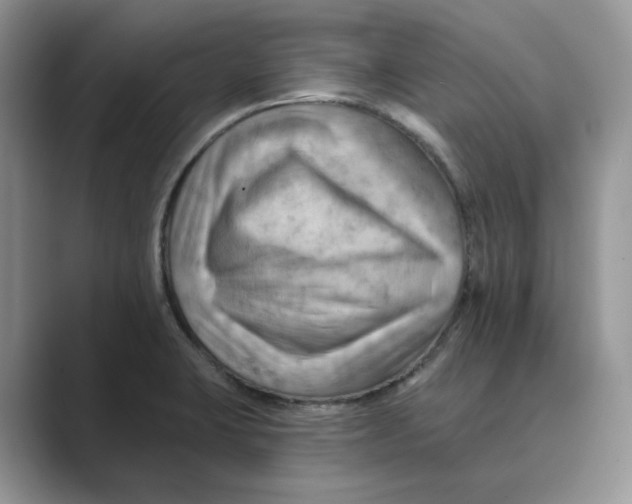 X0000088861423200707061043