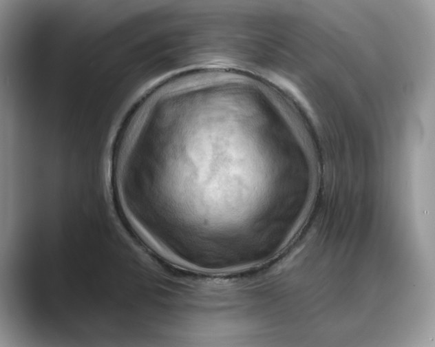 X0000088861424200707061043