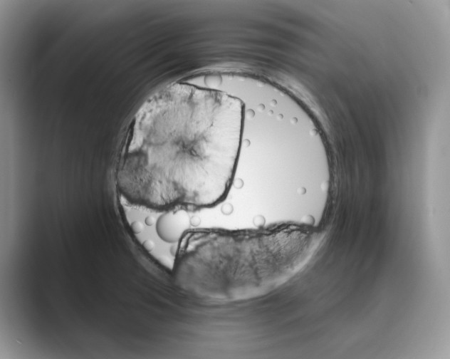 X0000088861425200707061043