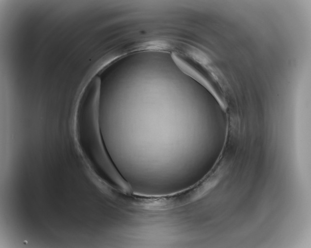 X0000088861426200707061043