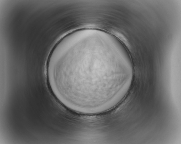 X0000088861428200707061043