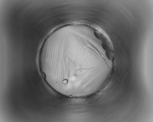 X0000088861429200707061043