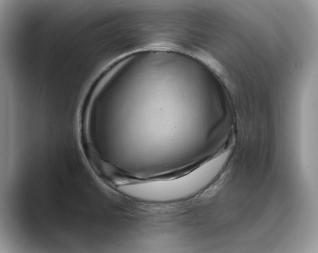 X0000088861430200707061043