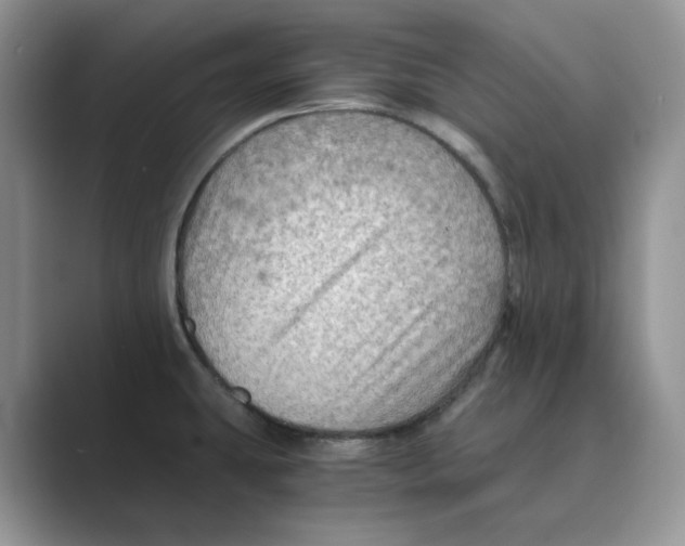 X0000088861431200707061043