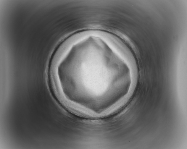 X0000088861432200707061043