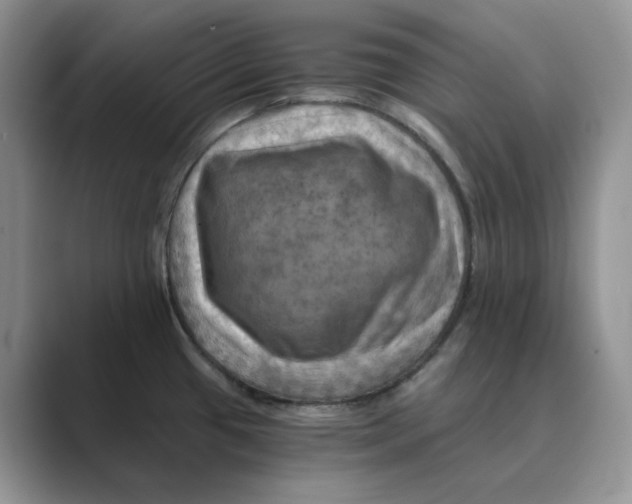 X0000088861433200707061043