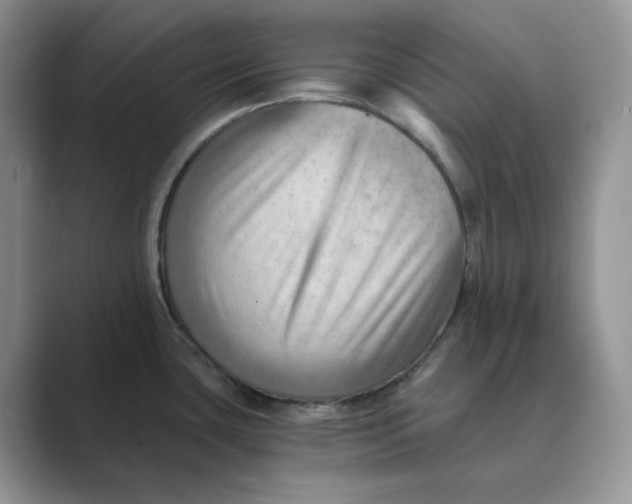 X0000088861435200707061043