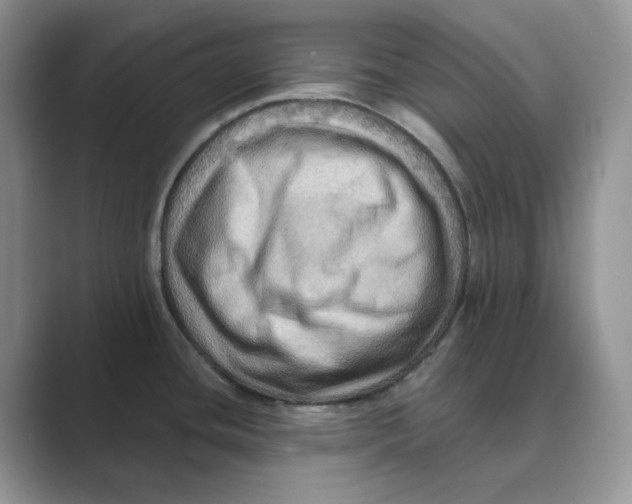 X0000088861436200707061043