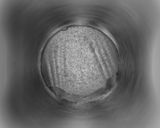 X0000088861437200707061043