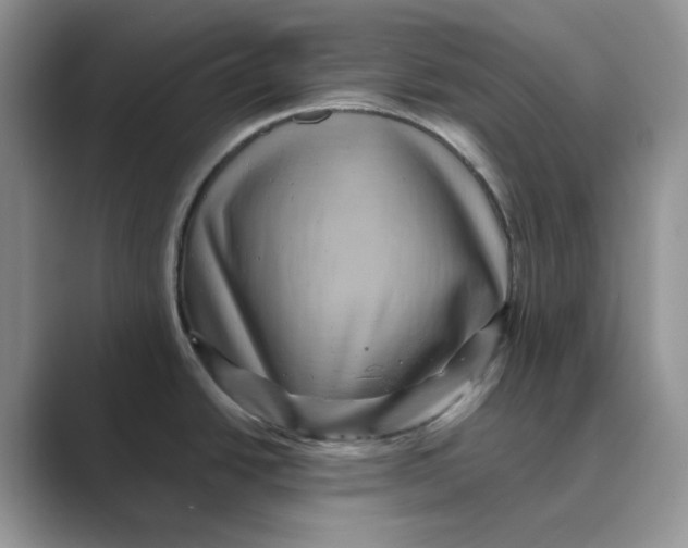 X0000088861438200707061043