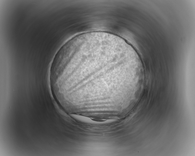 X0000088861439200707061043