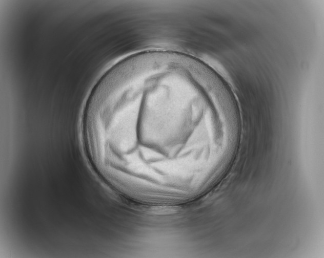 X0000088861440200707061043