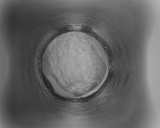 X0000088861441200707061042