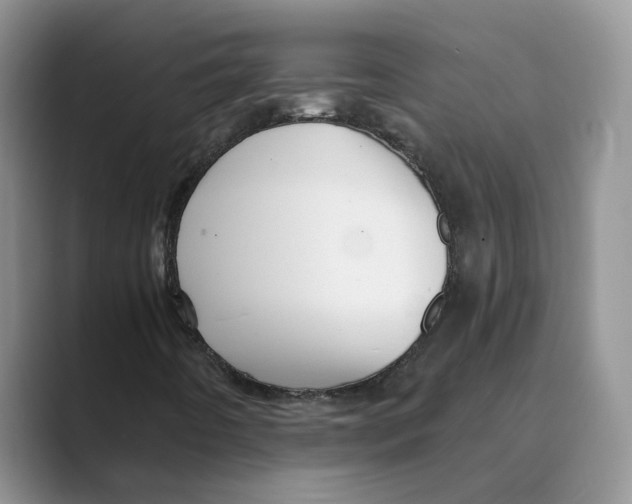 X0000088861442200707061042