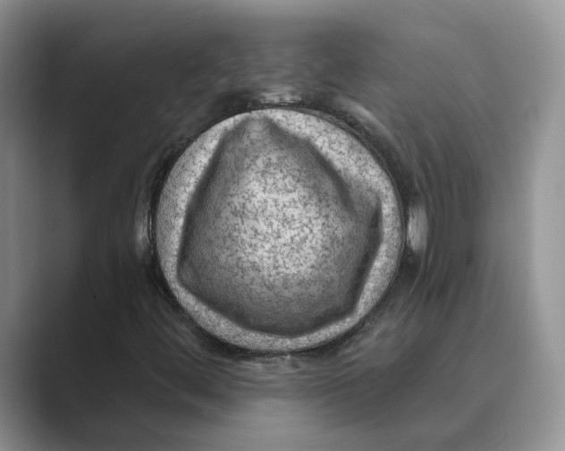 X0000088861444200707061042