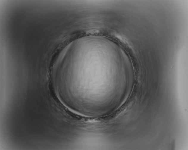 X0000088861445200707061042