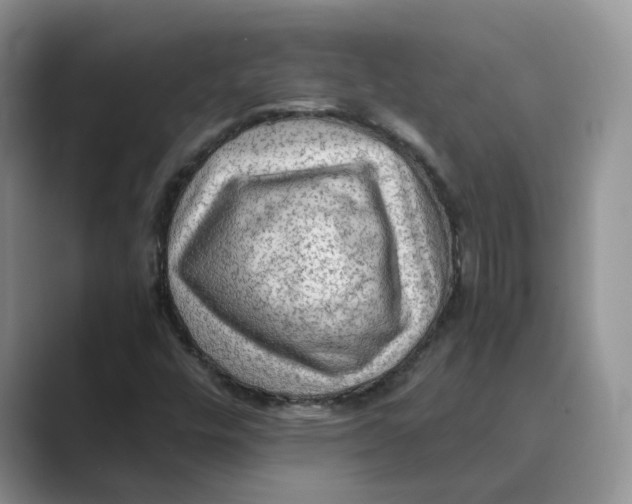 X0000088861448200707061042