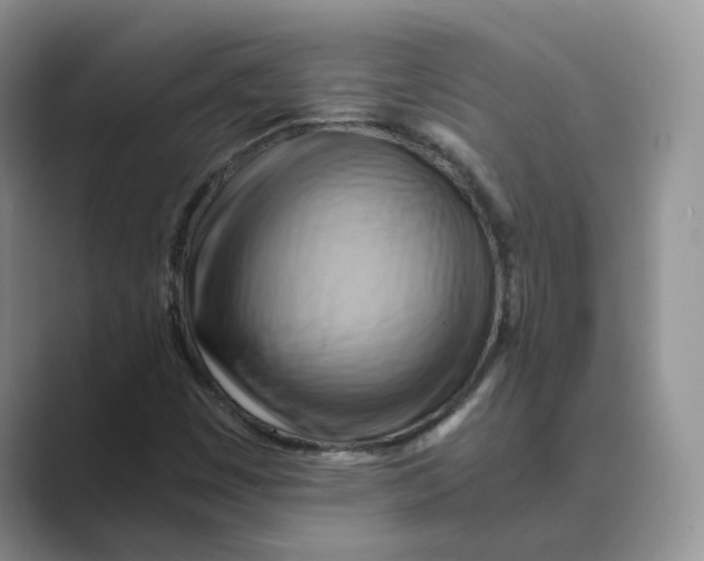 X0000088861449200707061042