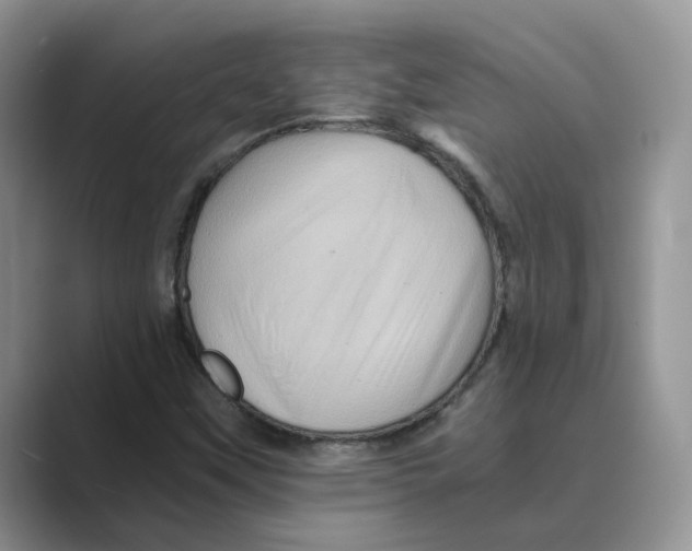 X0000088861451200707061042