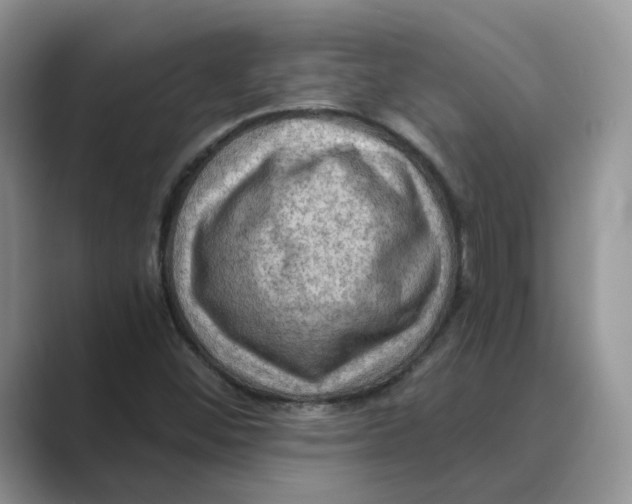 X0000088861452200707061042