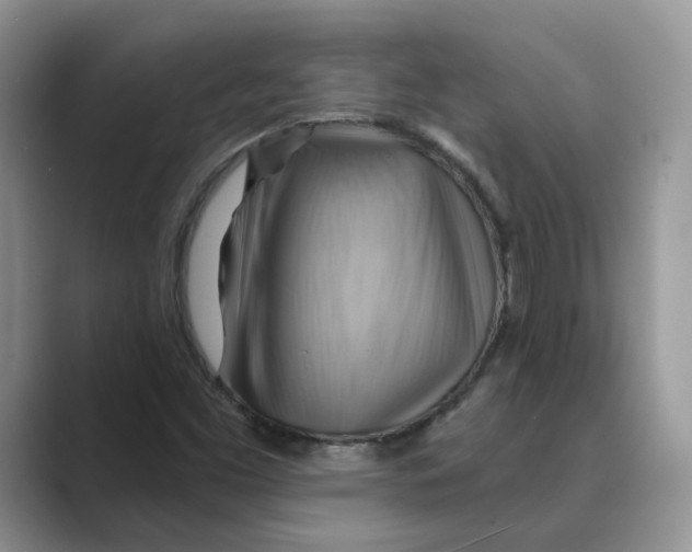 X0000088861453200707061042