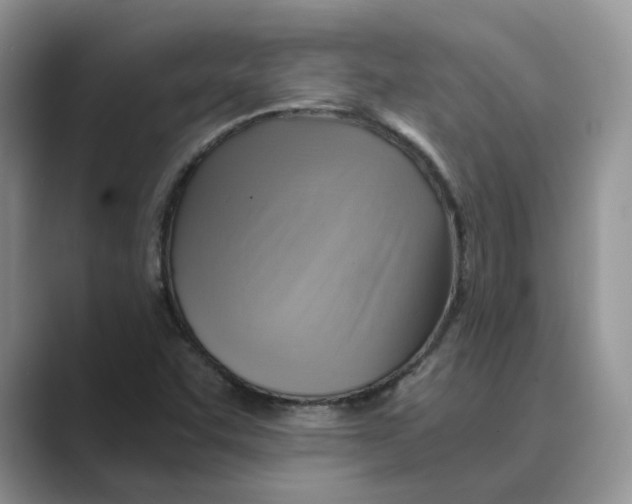 X0000088861455200707061042