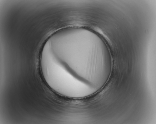 X0000088861459200707061042