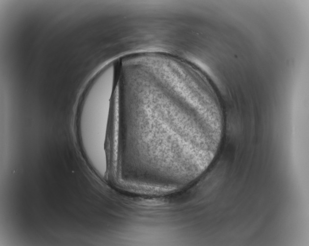 X0000088861460200707061042