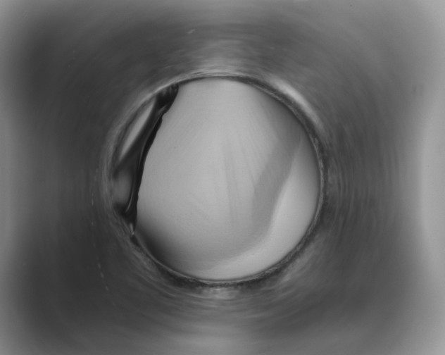 X0000088861461200707061042