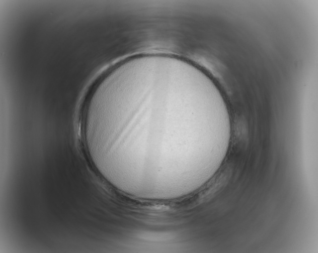 X0000088861462200707061042