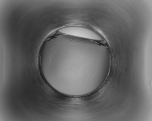 X0000088861463200707061042