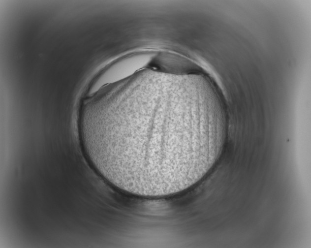 X0000088861464200707061042