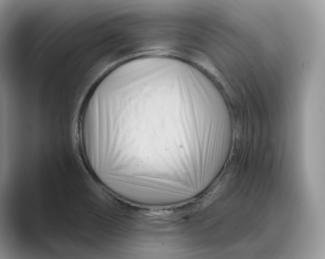 X0000088861466200707061042