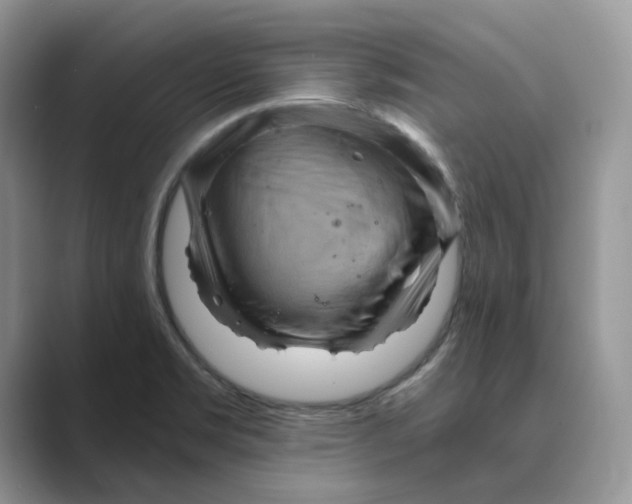 X0000088861469200707061042