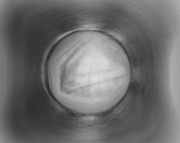 X0000088861470200707061042