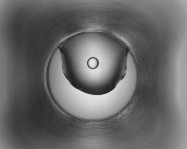 X0000088861471200707061042