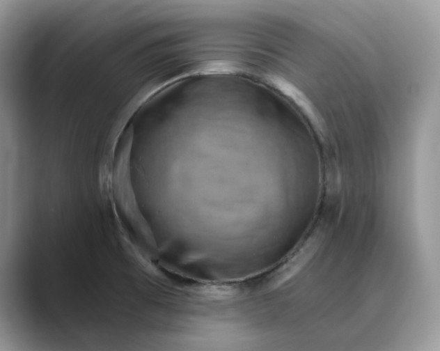 X0000088861473200707061042