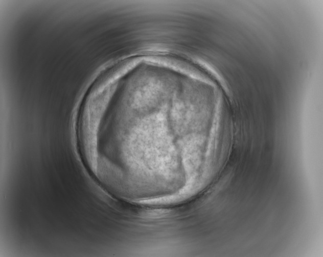 X0000088861475200707061042