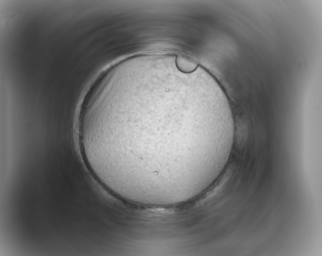 X0000088861478200707061042