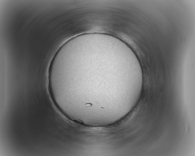 X0000088861479200707061042