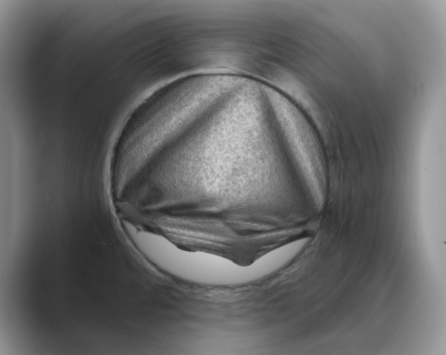 X0000088861480200707061042