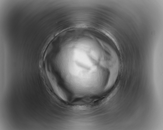 X0000088861481200707061042