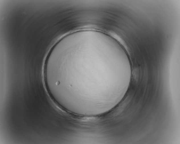 X0000088861482200707061042